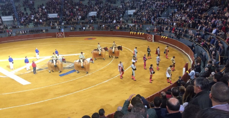 FERIA_DE_INVIERNO_MADRID.jpg