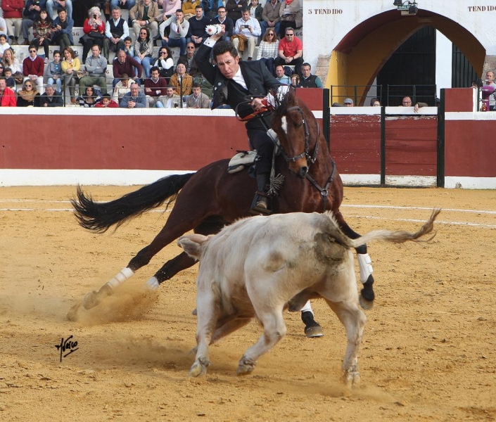 LEONARDO CANTILLANA