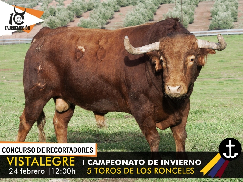 LOS_RONCELES_VISTALEGRE_1.jpg